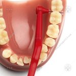 مسواک بین دندانی سایز 2 آنجل TePe Angle - تصویر 2